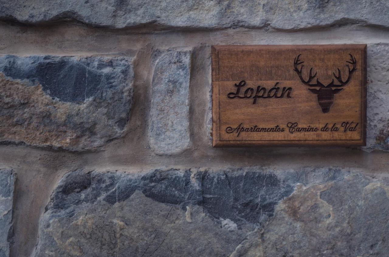 Apartamentos Camino De La Val Borau エクステリア 写真
