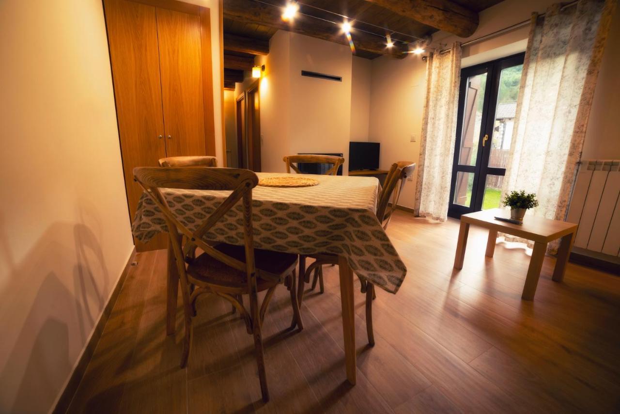 Apartamentos Camino De La Val Borau エクステリア 写真